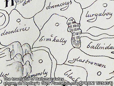 The townland of BALLYMACAWLEY.
