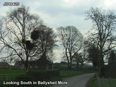 The townland of xxxx.