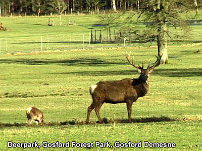Gosford Castle in 2002.