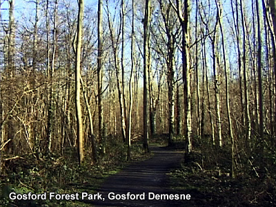 Gosford Castle in 2002.