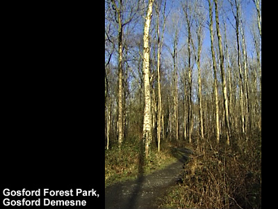 Gosford Castle in 2002.