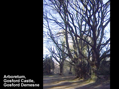 Gosford Castle in 2002.