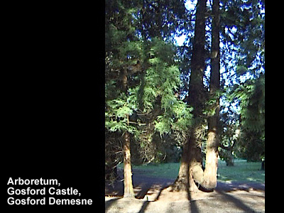 Gosford Castle in 2002.