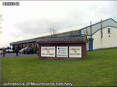 Johnston's of Mountnorris Hatchery.