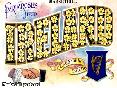 Individuals graphic.